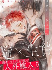 全职猎人 漫画揍敌客家族篇唱片封套陈列图