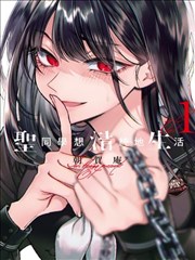 全职猎人 漫画会长选举篇唱片封套陈列图