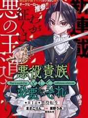 全职猎人 漫画暗黑大陆篇唱片封套陈列图